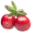 Cranberry Terschelling B.V. logo