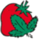 Van den Wijngaart BV logo