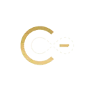 C-NEXT LEVEL logo