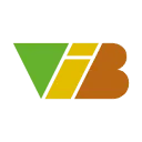 VIB Consulting logo