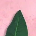 Made Natural B.V. logo
