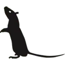VTW Plaagdierbeheersing logo