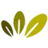 Green Seed The Netherlands logo