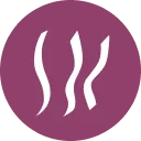 TIGRA Zwolle logo