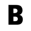 BAU logo