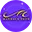 Stichting Nederlands Symfonie Project logo