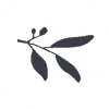 Edell Fine Jewelry logo