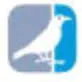 Corovum Advies B.V. logo