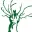 De Kat in de Wilg logo