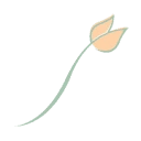 Groei AND Bloei in Bedrijf Stichting logo