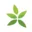 PostPlant logo