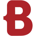 BORM Nederland b.v. logo
