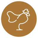Colins Breda logo
