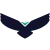 Parkeagle logo