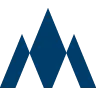PEAK Online Marketing logo