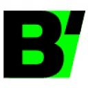 B'WISE logo