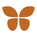 Steenvlinder logo