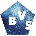 BVS-schooladvies logo
