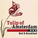 Tulip of Amsterdam B AND B logo
