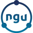 NGU Business BV logo