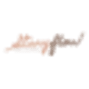 StoryFlow teamleiderschap logo