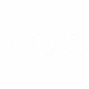 QVS Consulting logo