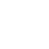 Protium.digital logo