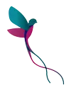 Kwekerij Duijn-Hove B.V. logo