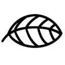 Leaf logo
