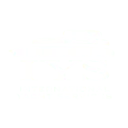 International Yacht Services logo