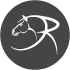 Equine Instruments logo