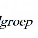 EMS uitzendgroep b.v. Holland logo