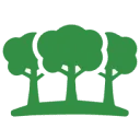New Forest Sessions logo