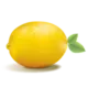 Dutch Designs with lemon logo
