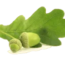 Snijder Vloeren B.V. logo