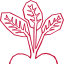 Beetz BV logo