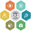 Accept SBR Online logo