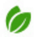 Synleaf logo