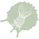 Carduus Tuinen logo