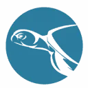 Sea Turtle Conservation Curaçao STCC logo