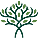 Boom Notariaat logo