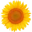 Installatiebedrijf Tijhaar Vilsteren B.V. logo