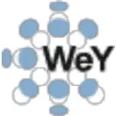 WeY Strategie Realisatie logo