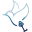 Pavoncella Vastgoed logo