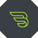 Baer Panels logo