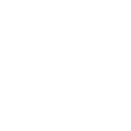 Bintel logo