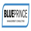 Blue Prince B.V. logo