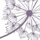 Bloeise logo