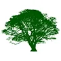 An de Stekke Neurodiversiteit Coaching logo