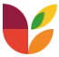 Levius logo